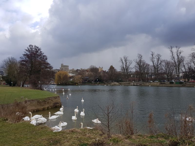 River Thames at Windsor with view of Windsor Castle